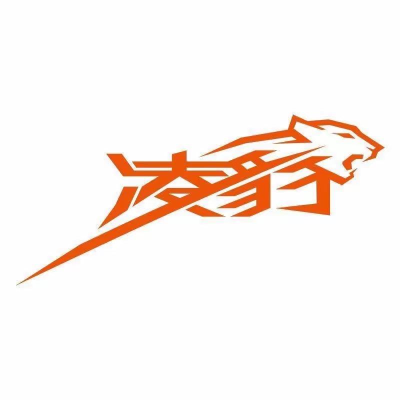 凌豹数码旗舰店