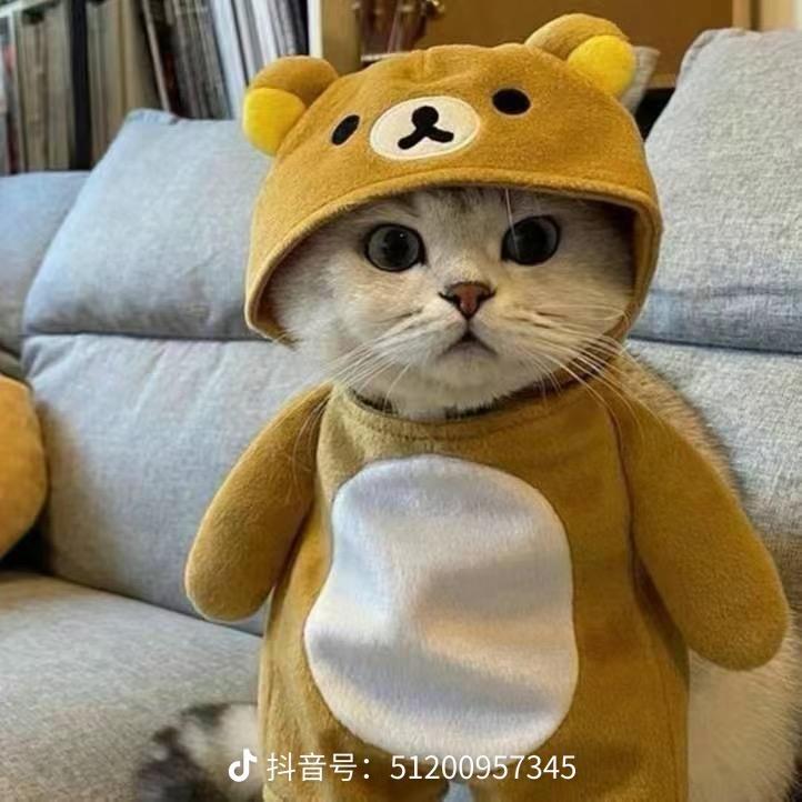 宝宝乐益智玩具