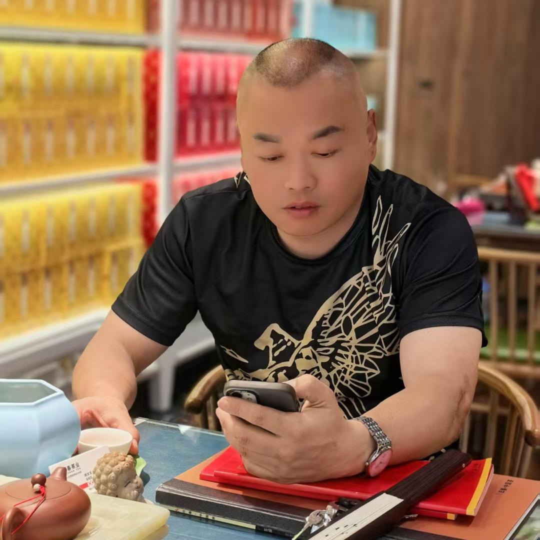 诸葛不太亮