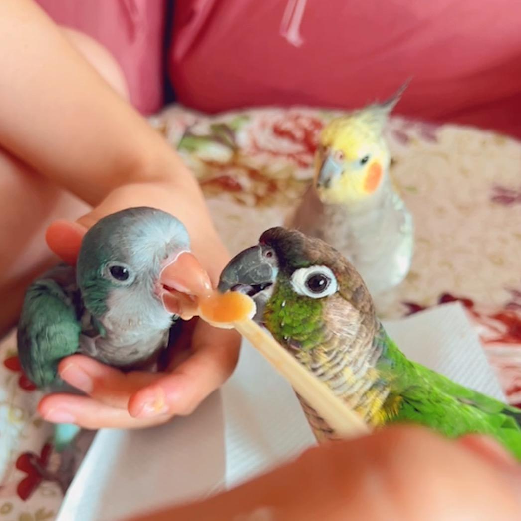 蛋，贼富🧚‍♀️