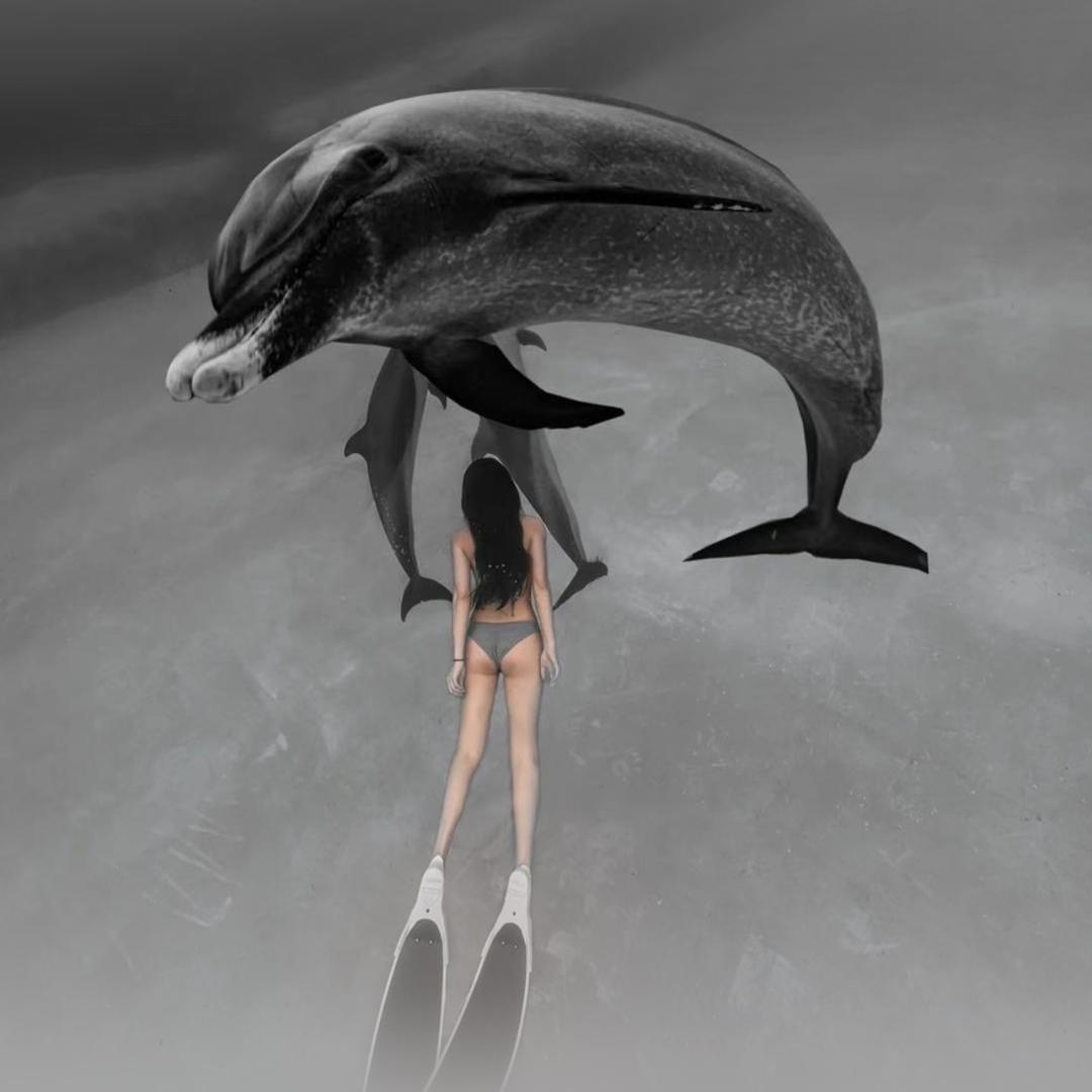 77🐋樱桃小完犊子