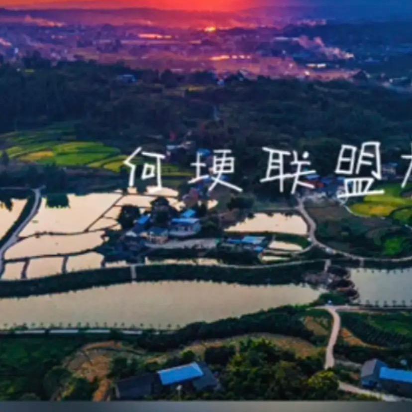 永川阳诚水产