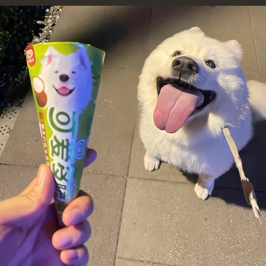 龙悦（青阳万达门店）