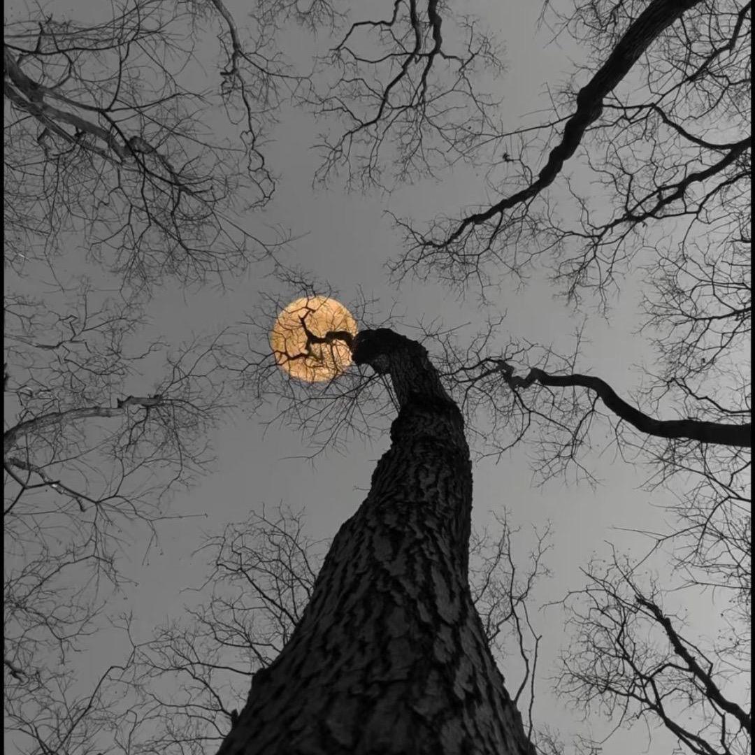 鼎峰台球俱乐部（小瓜）