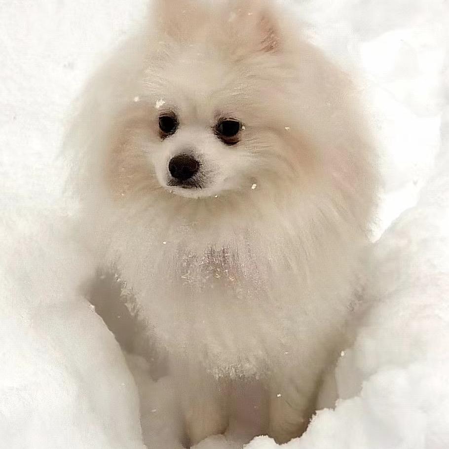 山飒