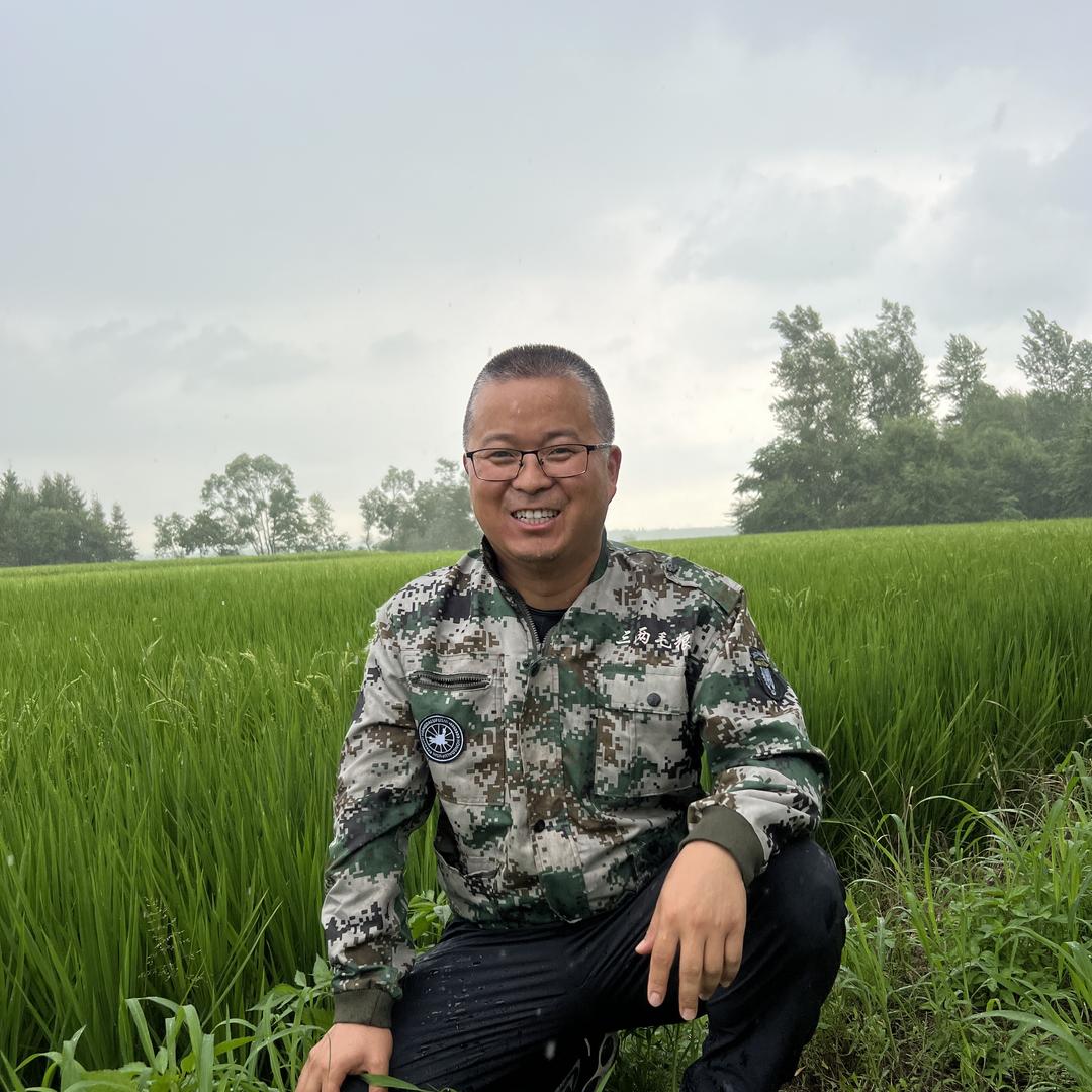 三两毛粮大米