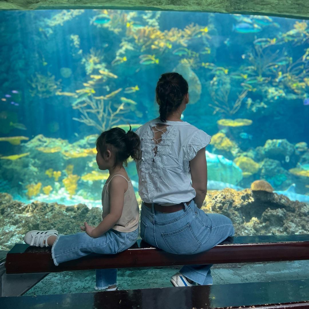 米果宝《请大家不要连赞、谢谢》