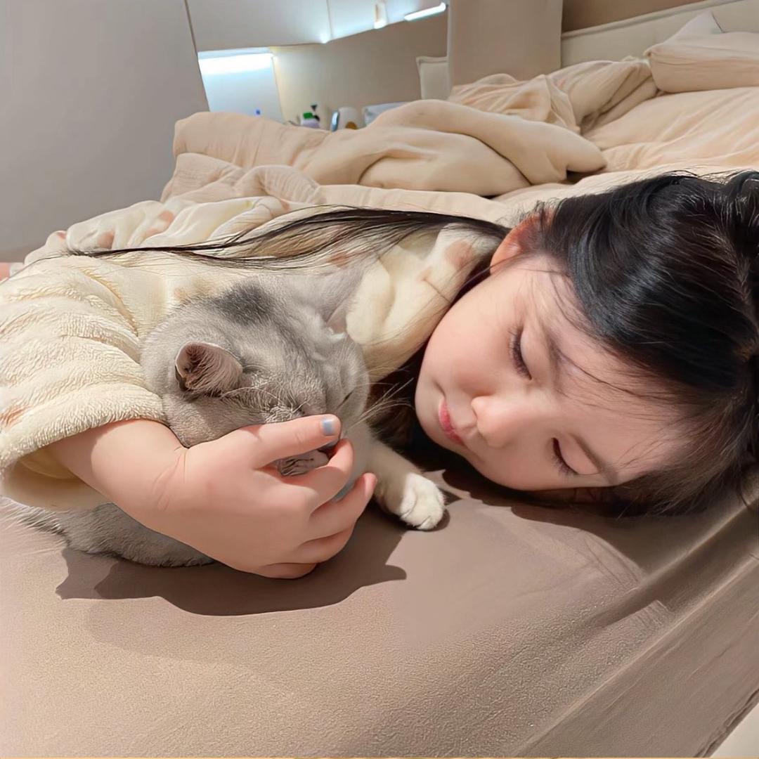椰子鸡