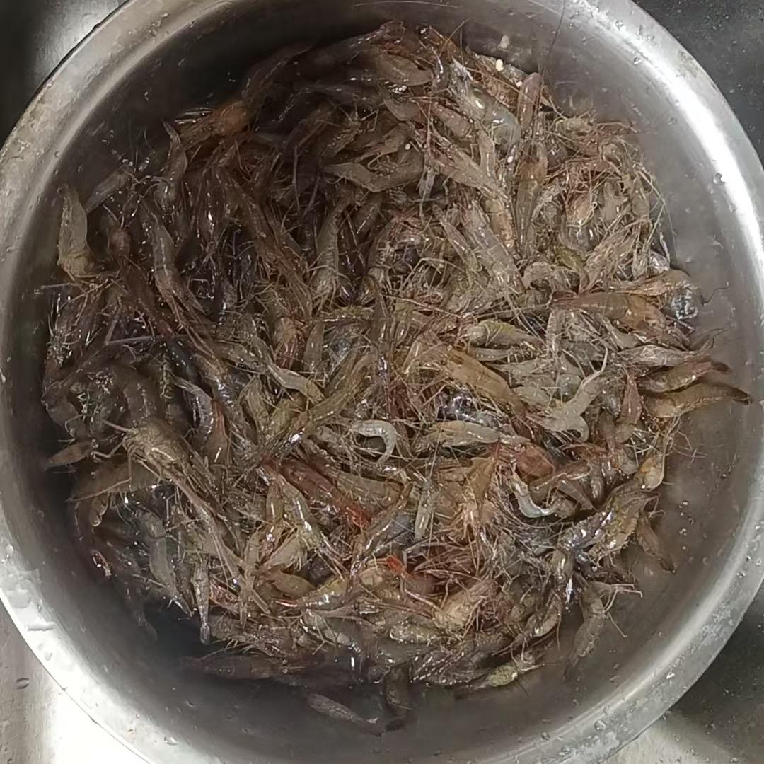 诸城精品河虾