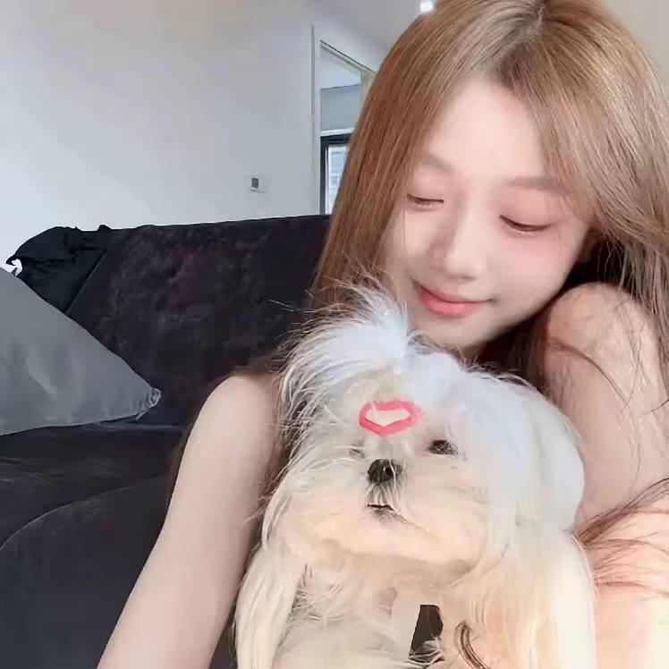 会飞的🐟