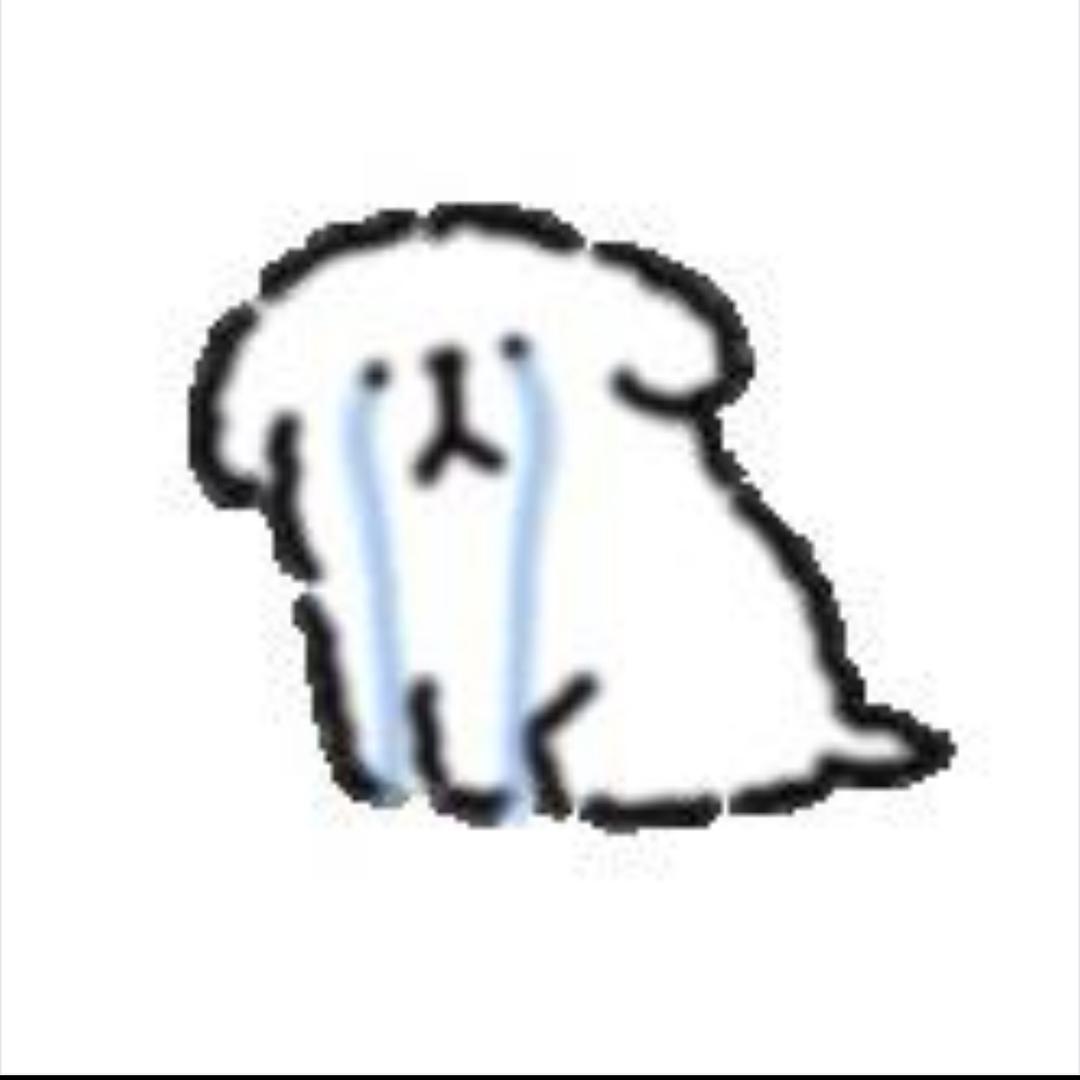 我从不骗人