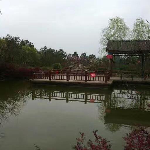 富顺哥
