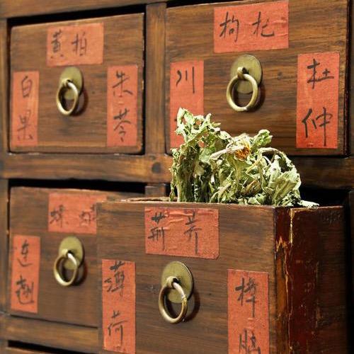 高才大神