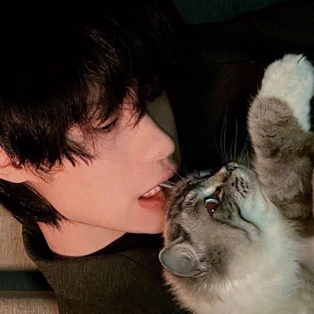 若能与你共乘海浪之上