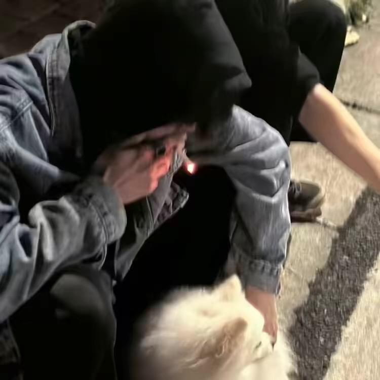 xiao77