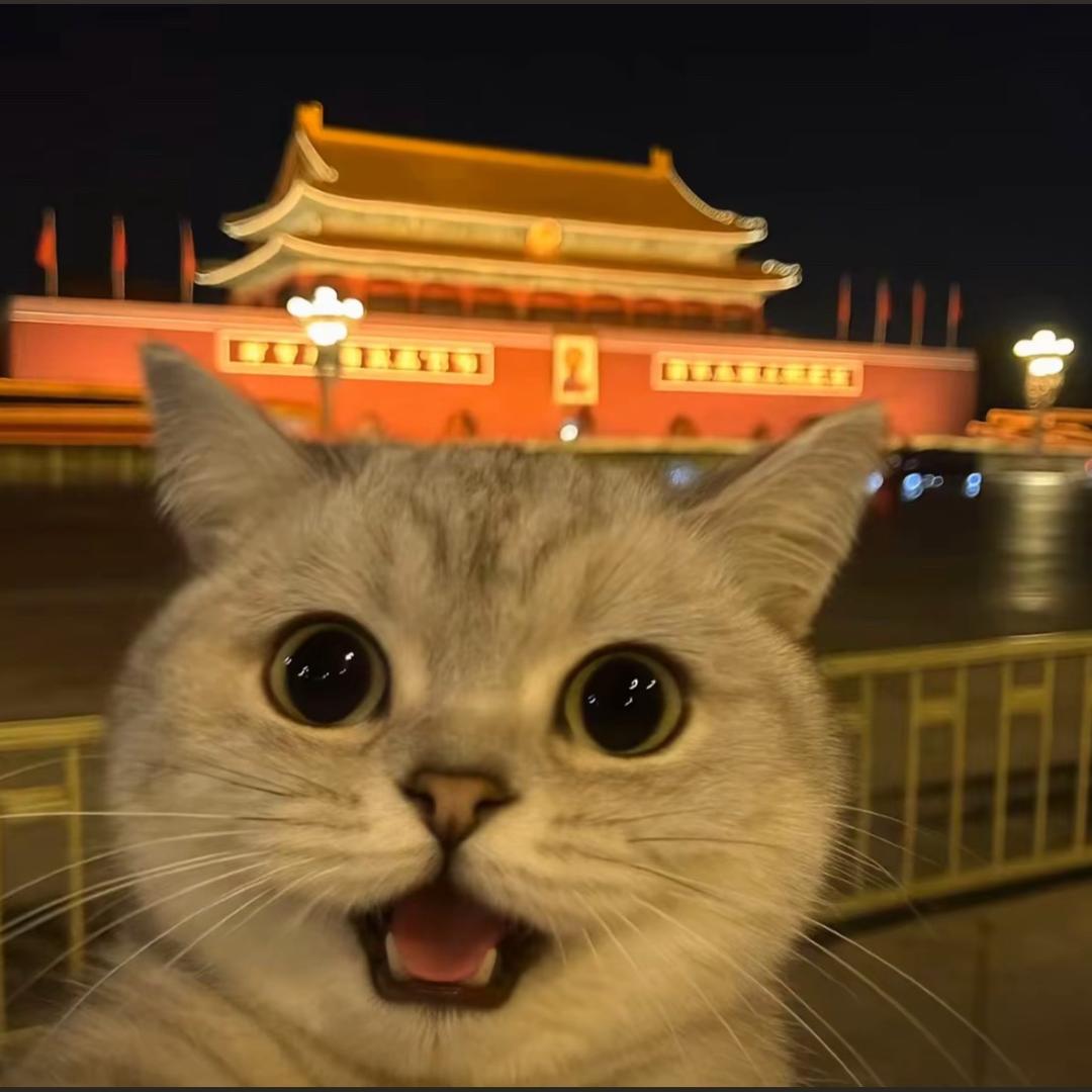 偏我来时不逢春。✍🏻