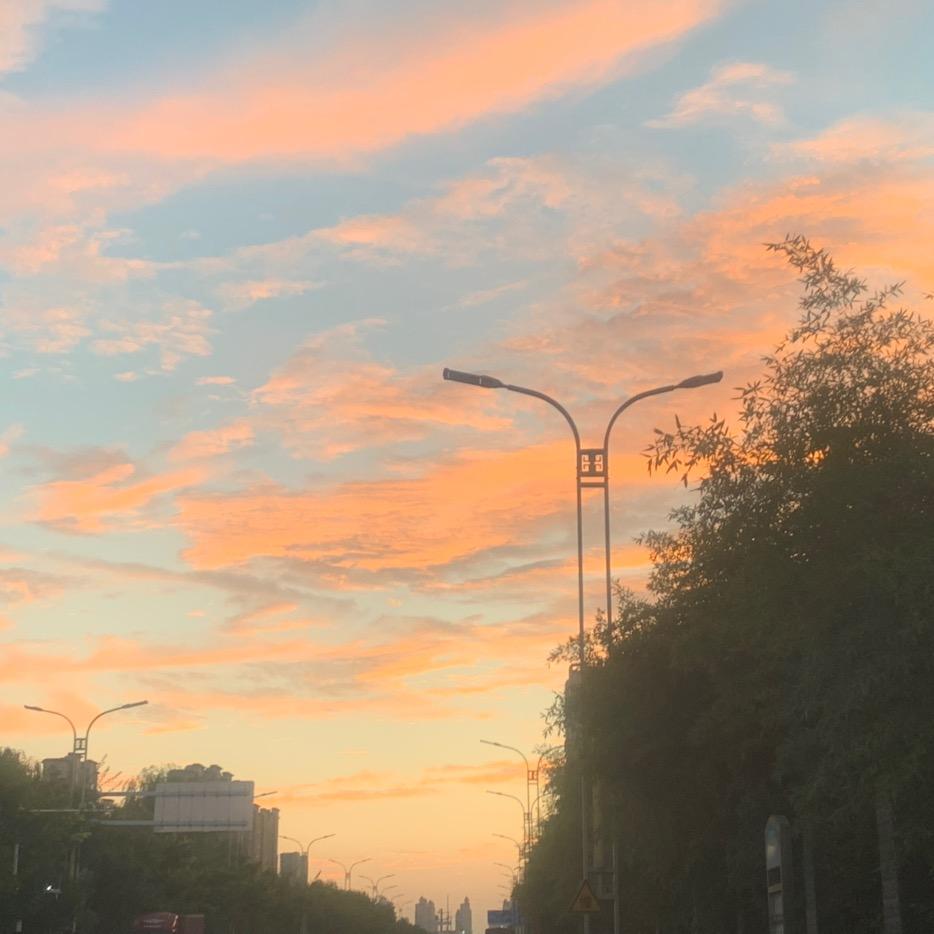 本草小杨