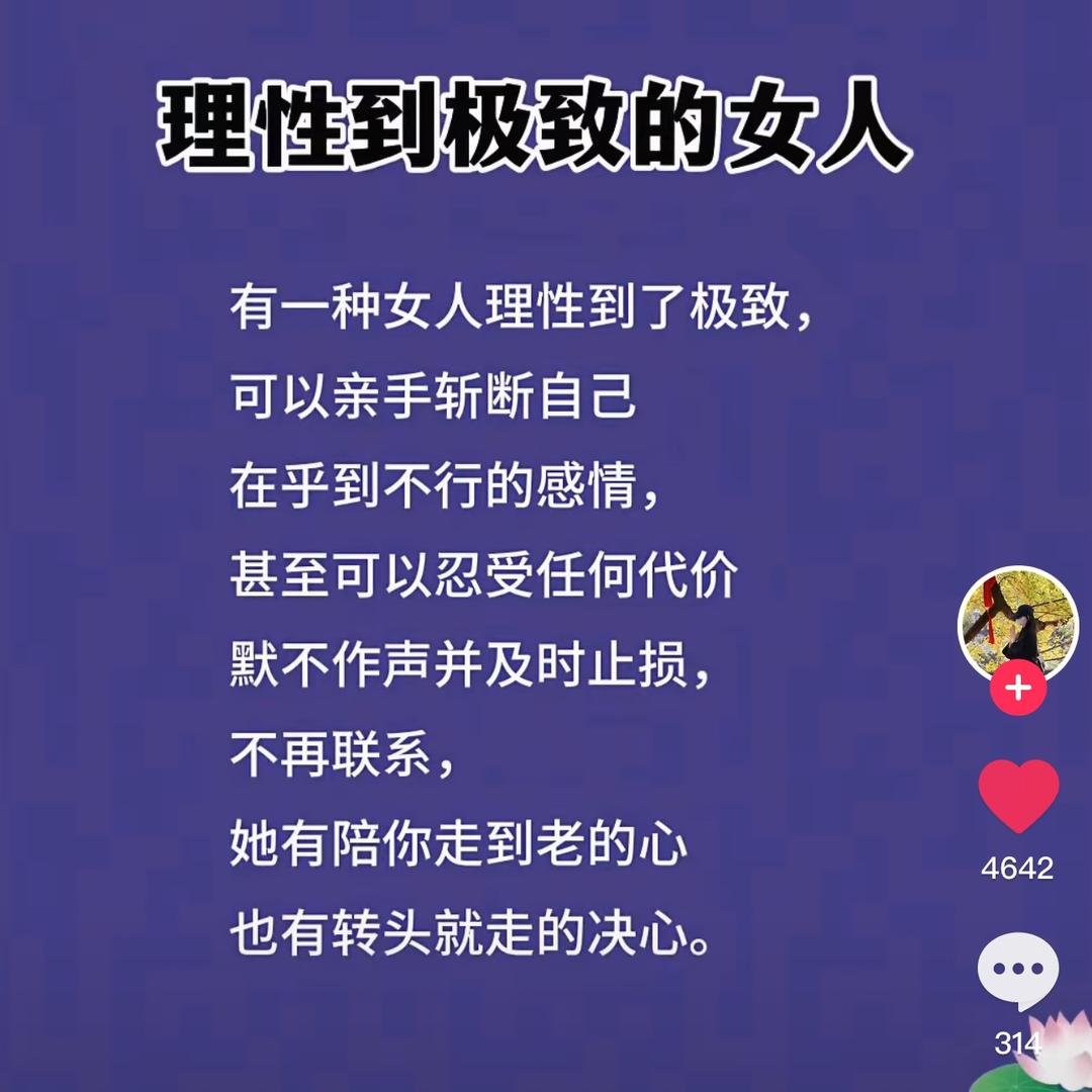 再见