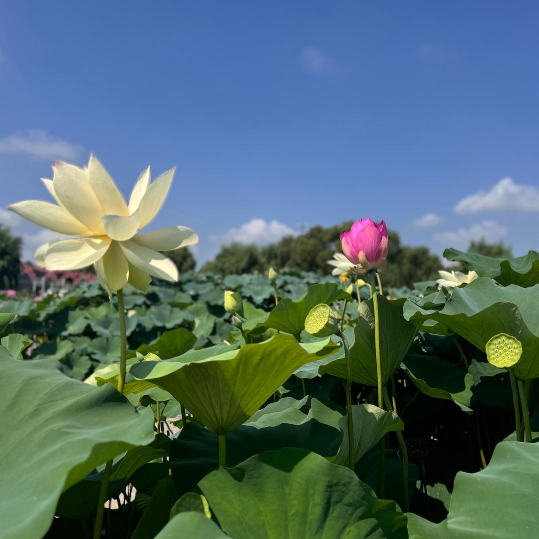 80后的焦虑