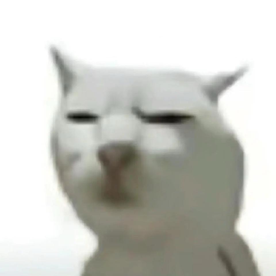没is