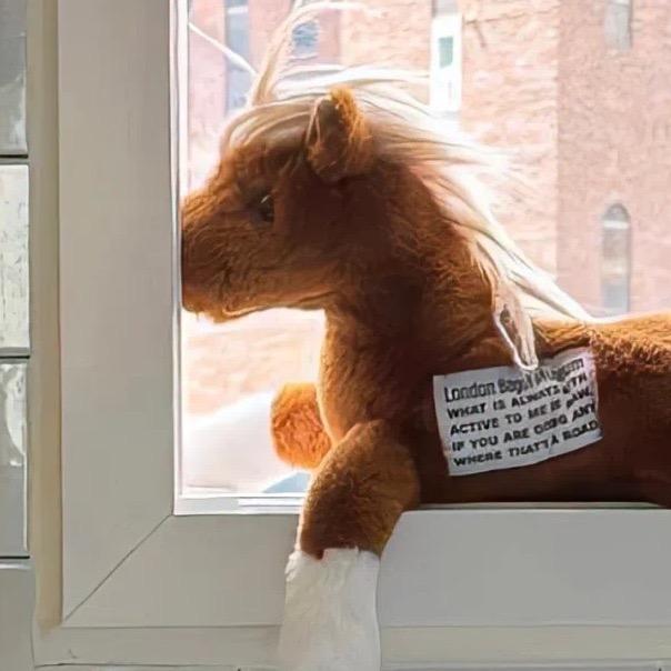 我觉得我该改一下网名了