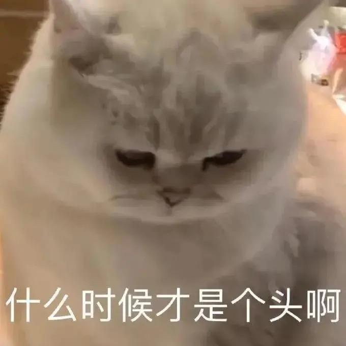 氧氧氧氧氧