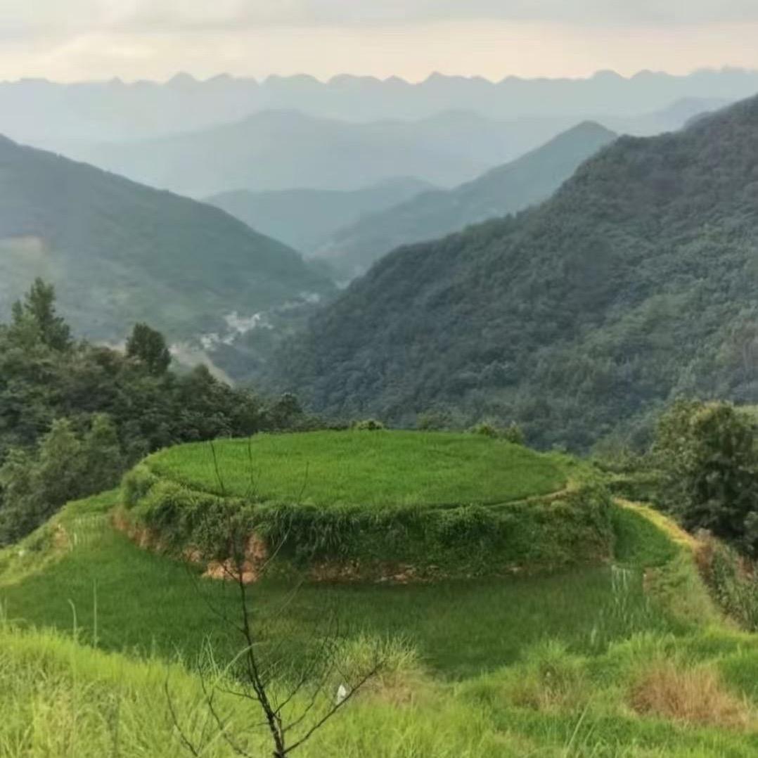 绝尘