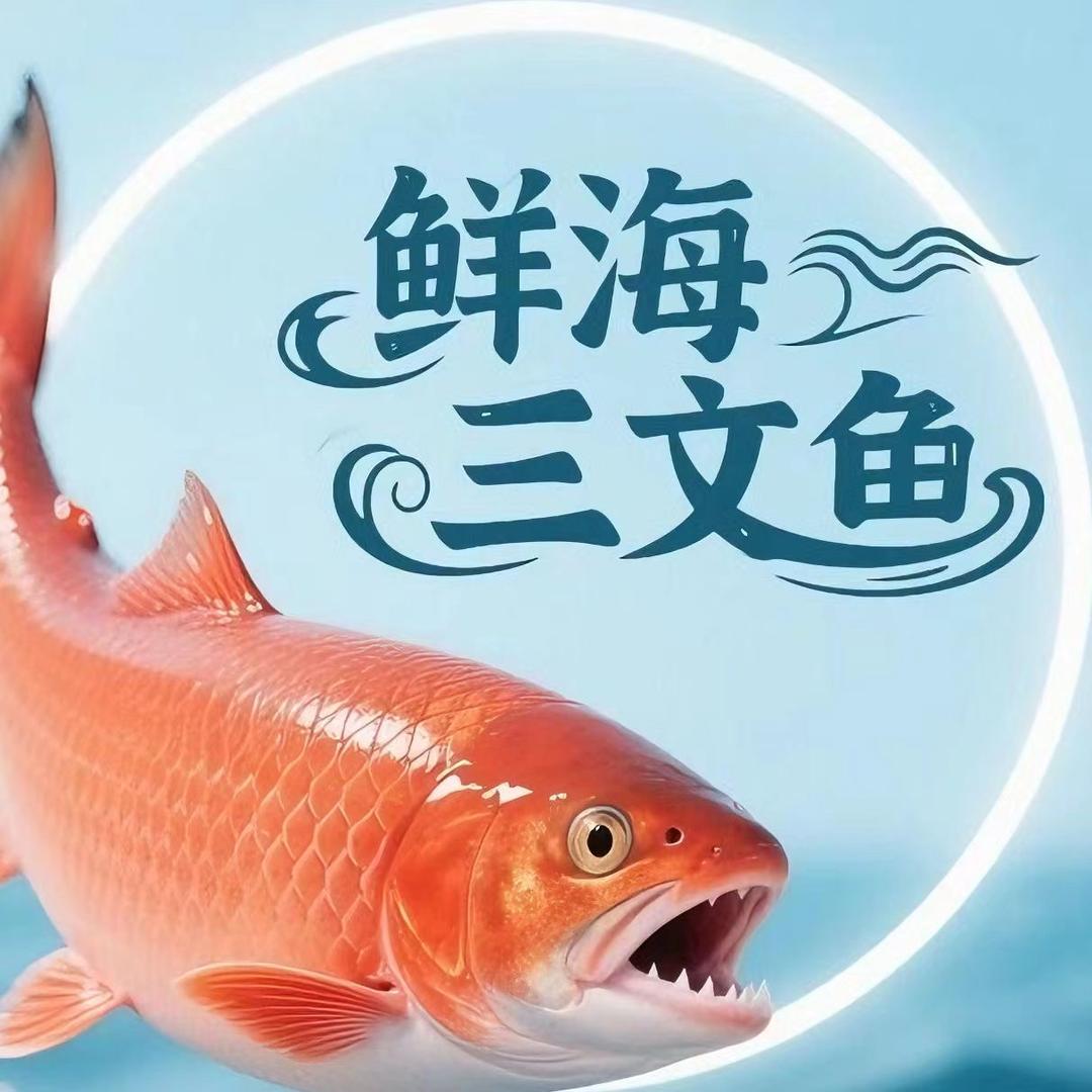 膳教授鲜海三文鱼🍣