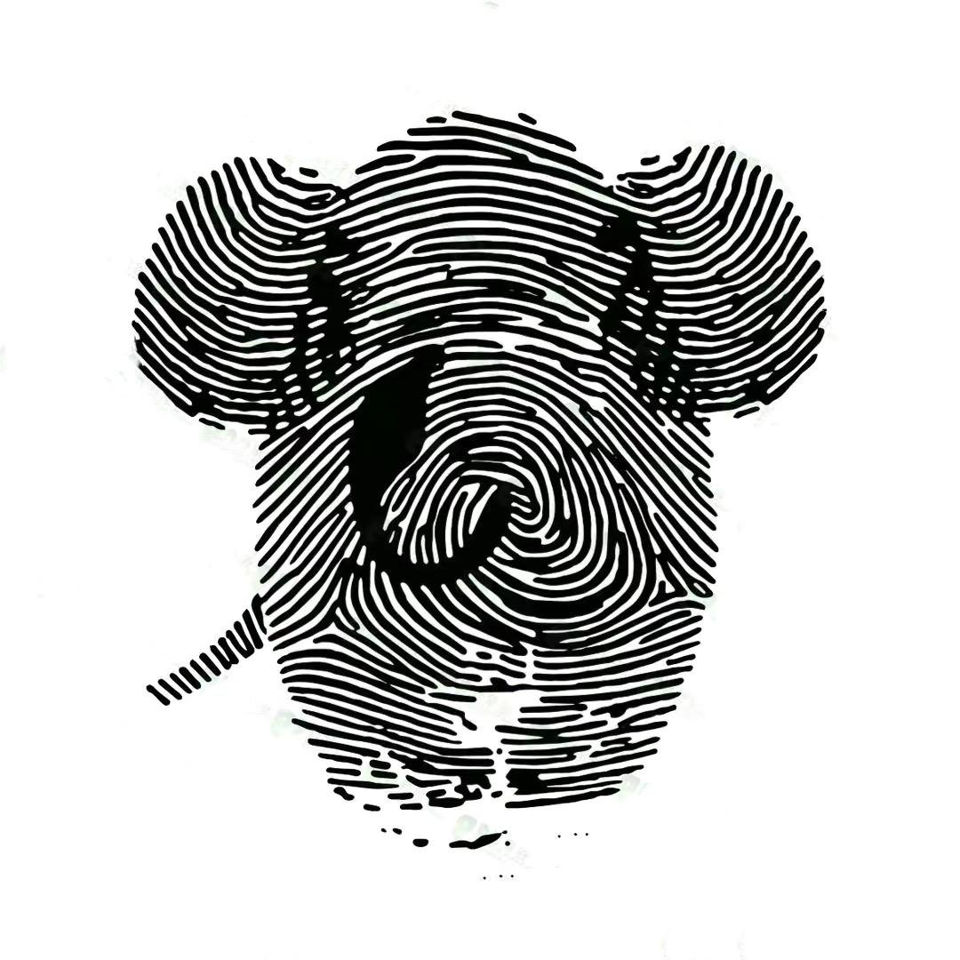 🤡 🐘 🦣 🐘 🦣 🐘🤡