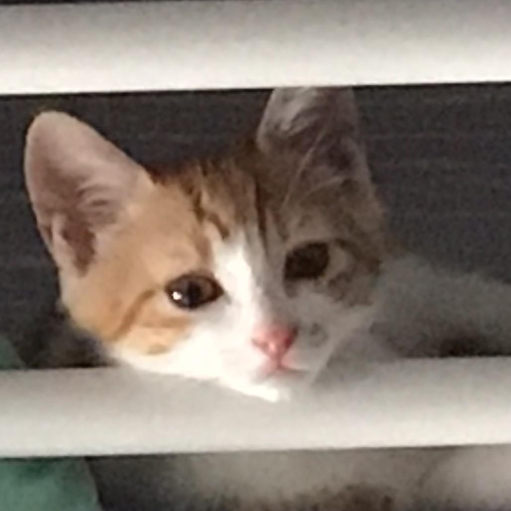 圆满