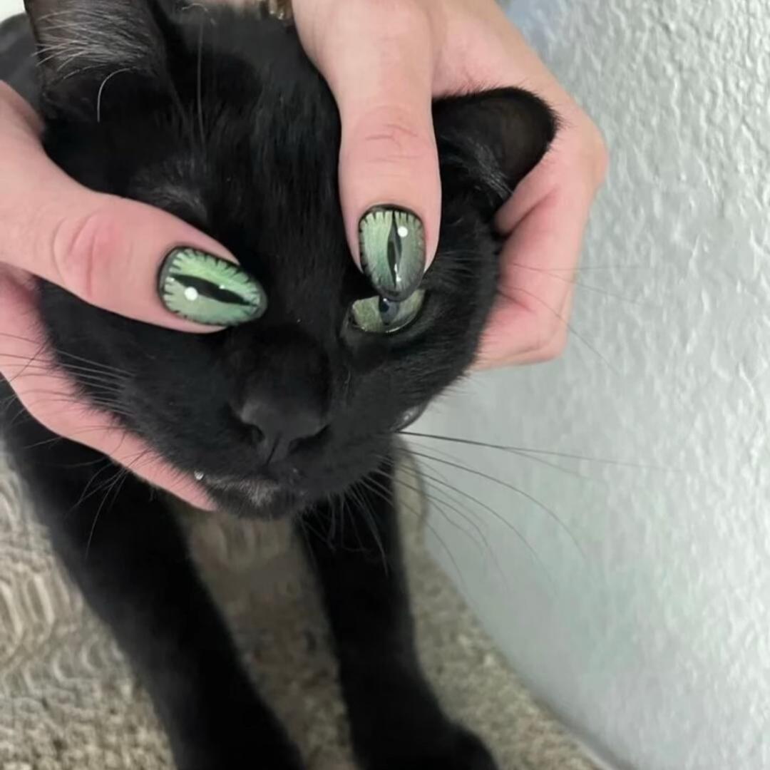 宇ㅤ
