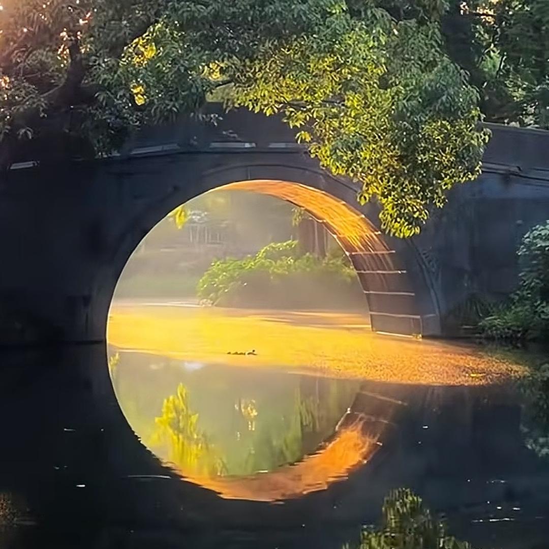 星辰做跨境