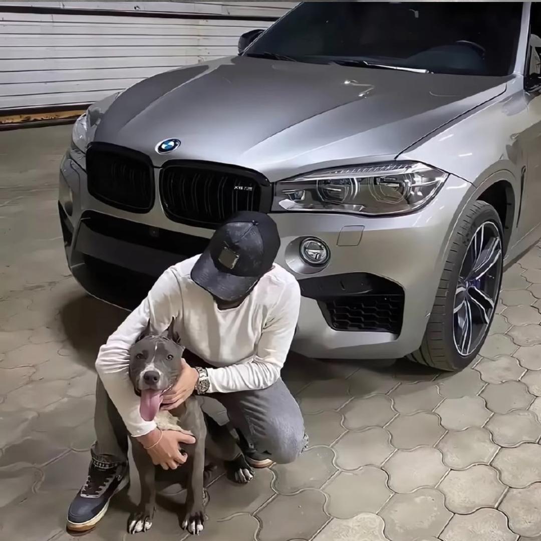 富宁车博士二手车