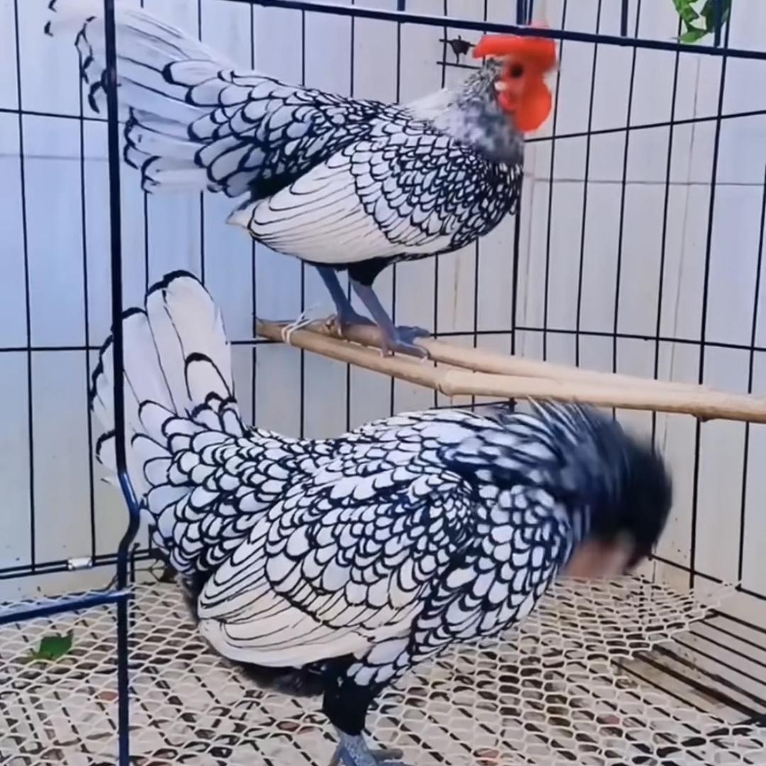 昕月百货优品