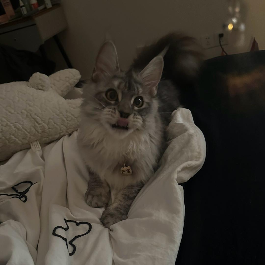 小尹