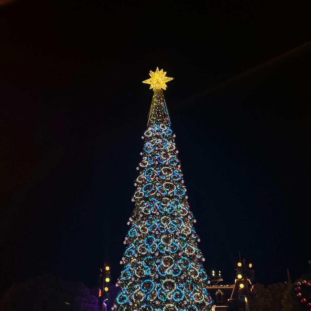 🎀白羊✌︎ ʺ̤