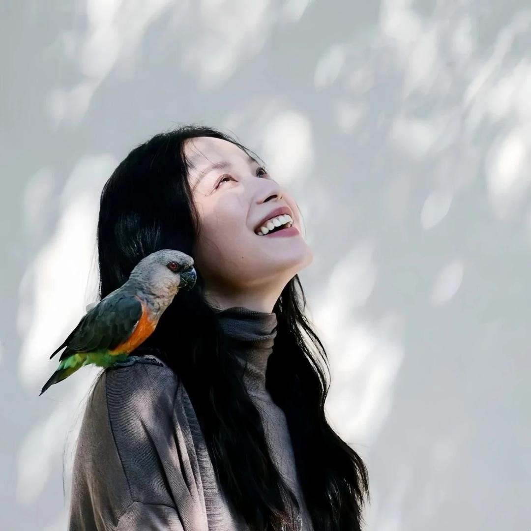 闪亮的屁灯