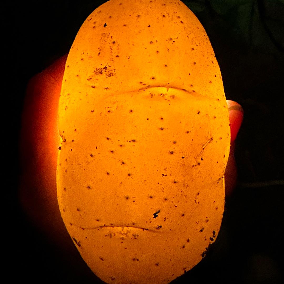 90后的土豆小哥