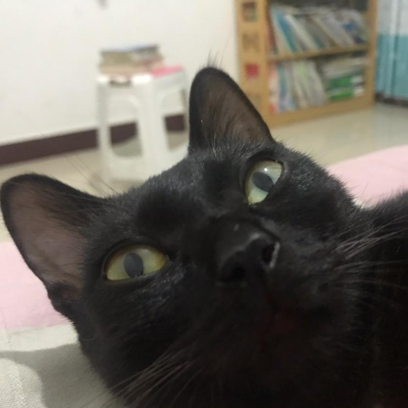 宇宙老爹宠坏我