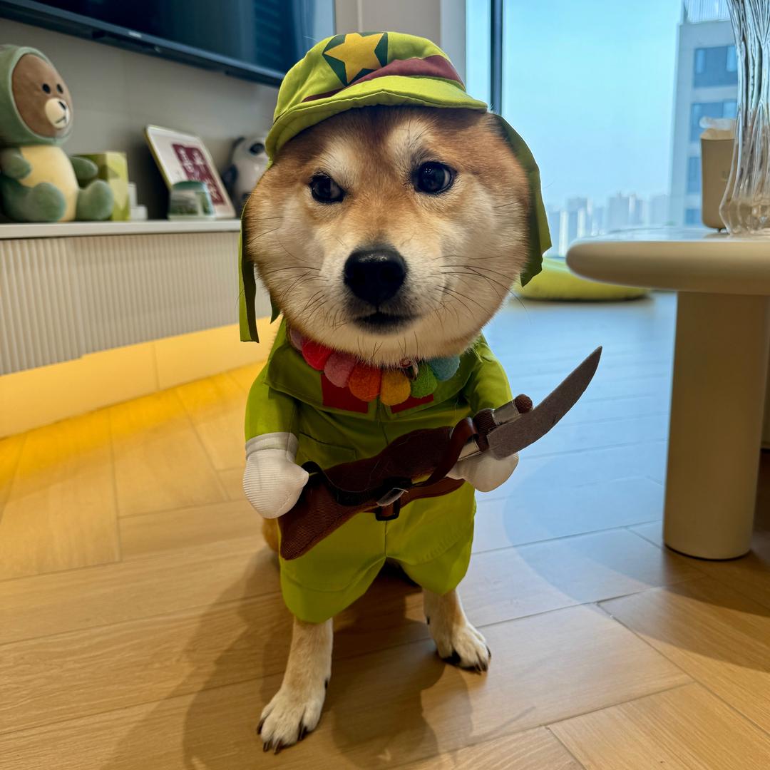 金豆