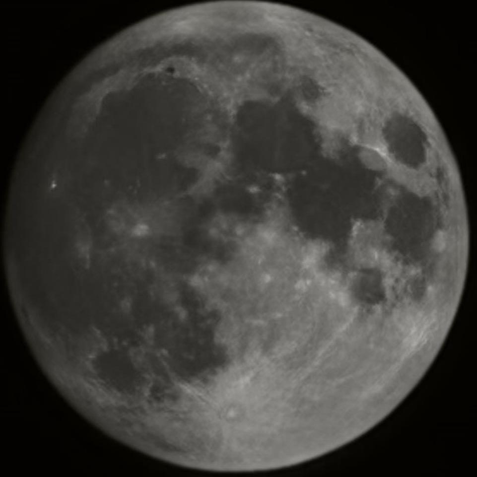 倪海厦的小迷 m