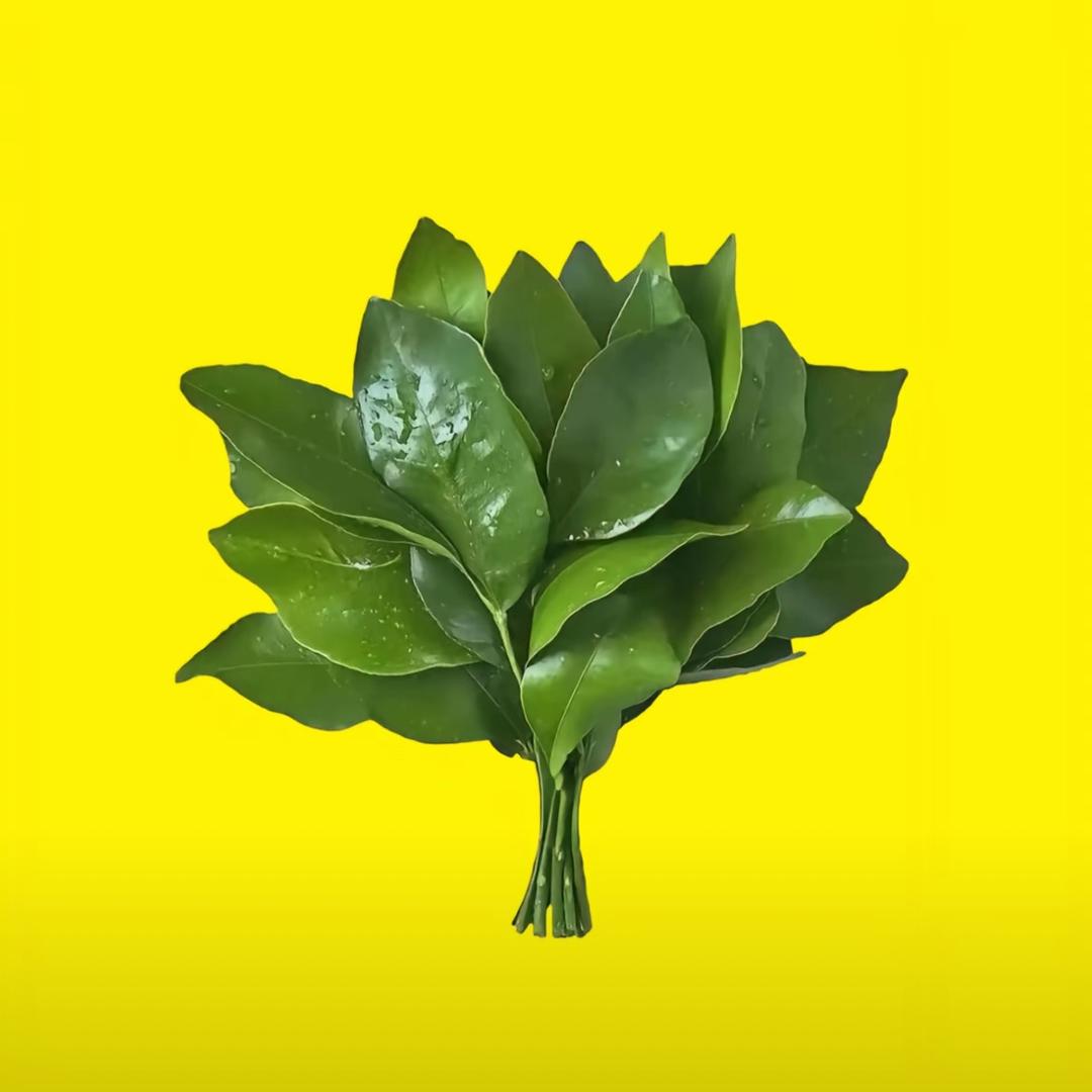 ·没心情