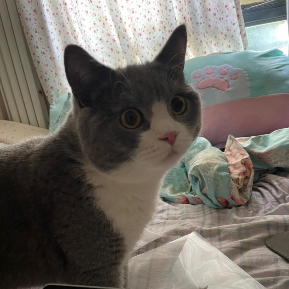 侯立