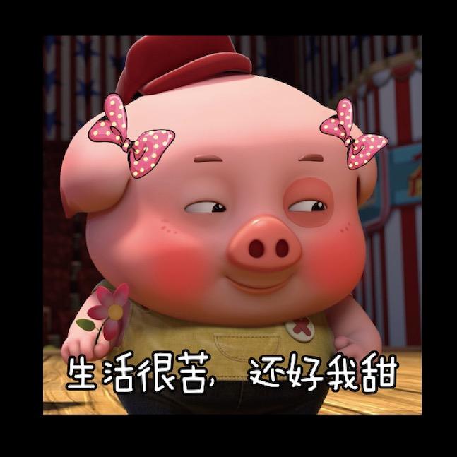 我是韭菜🌱