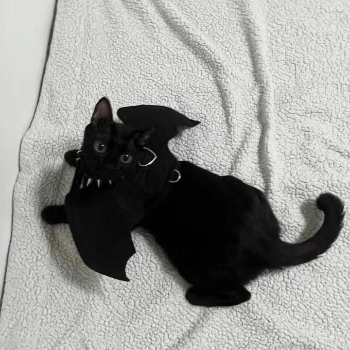西瓜