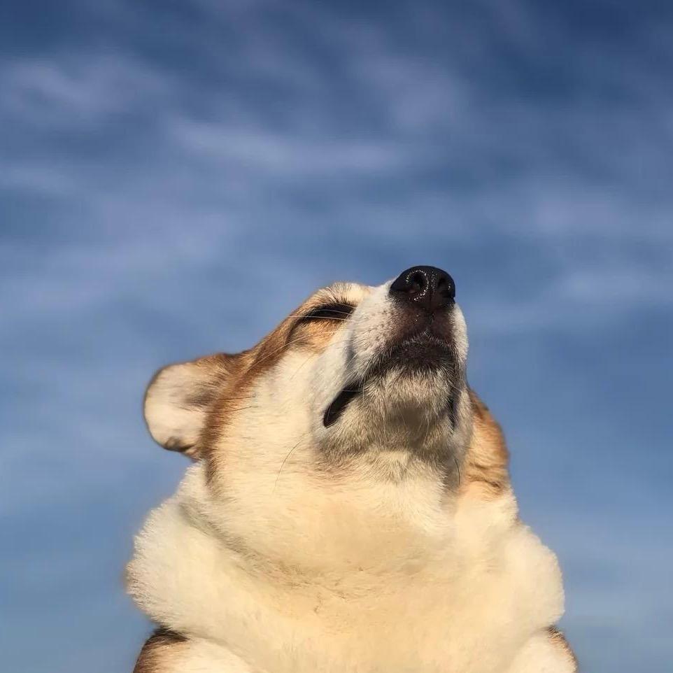 暴富！！！！！