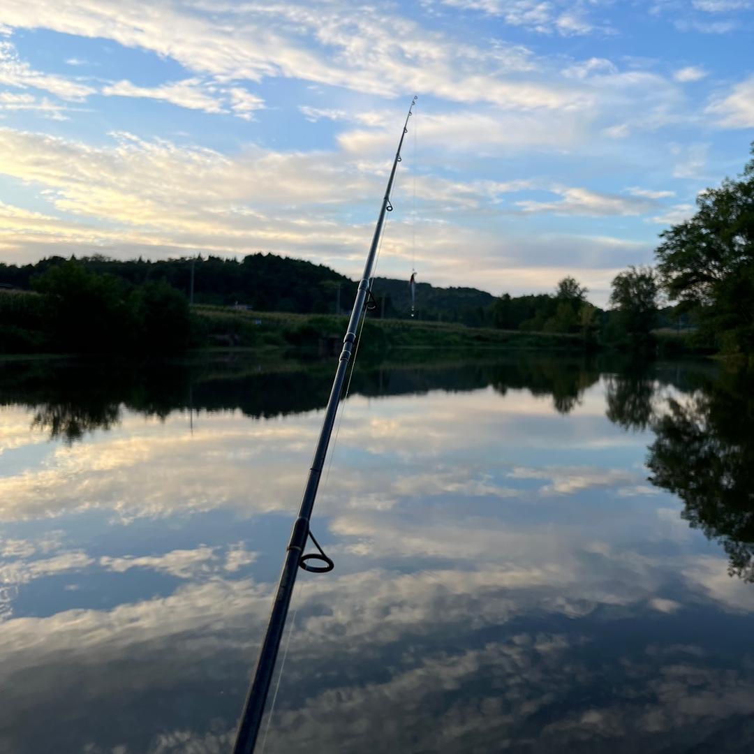 🌈陈_Sunny boy…