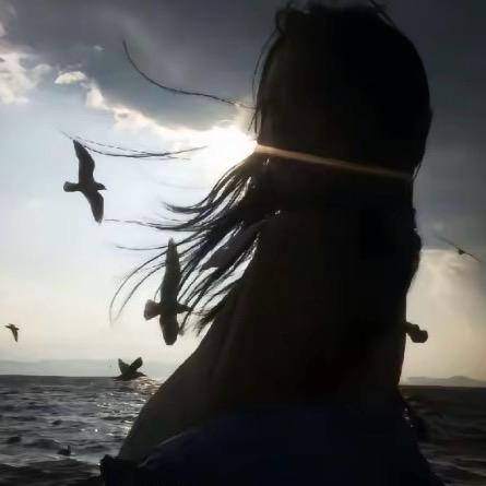 海