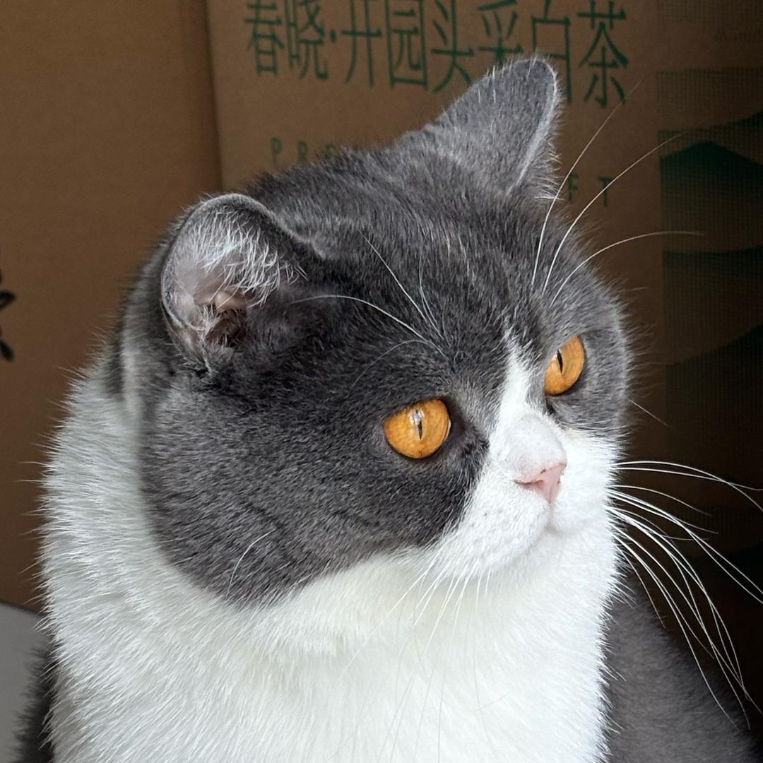 迪迦亲哥绯闻女友