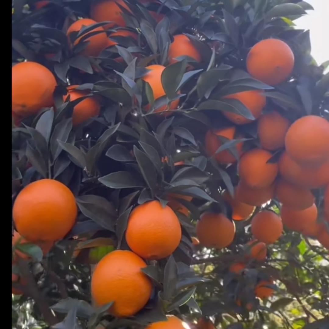 じ☆ve悇苼&冇憂